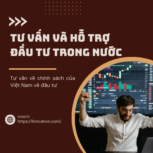 Tư Vấn Và Hỗ Trợ Đầu Tư Trong Nước