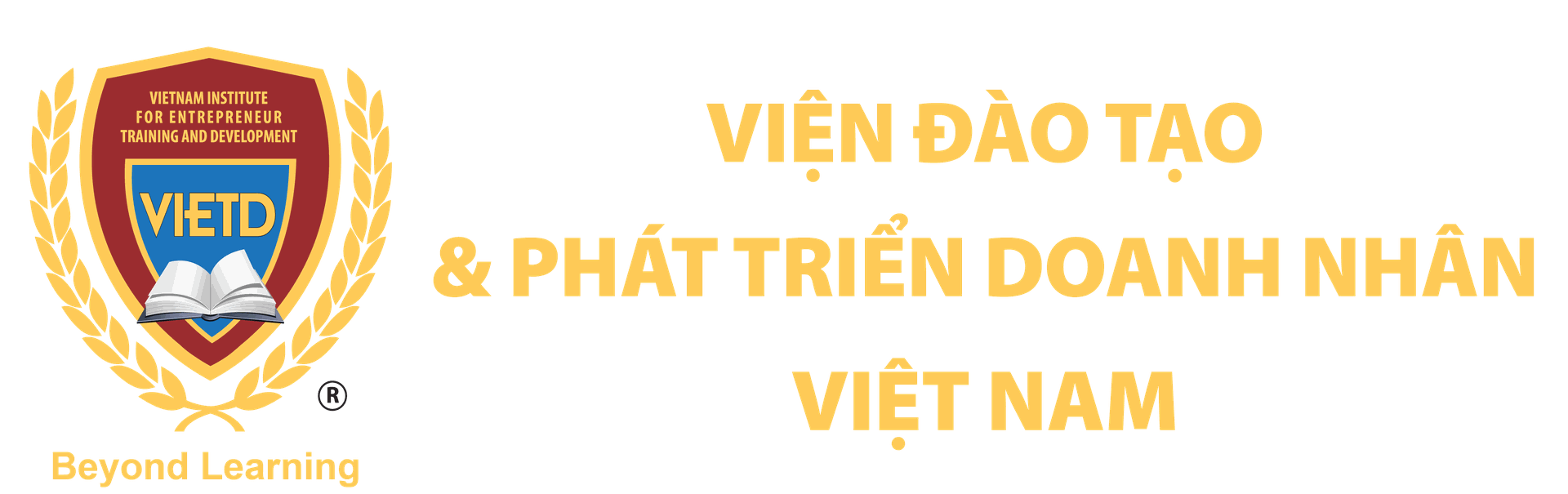 Vietdhub